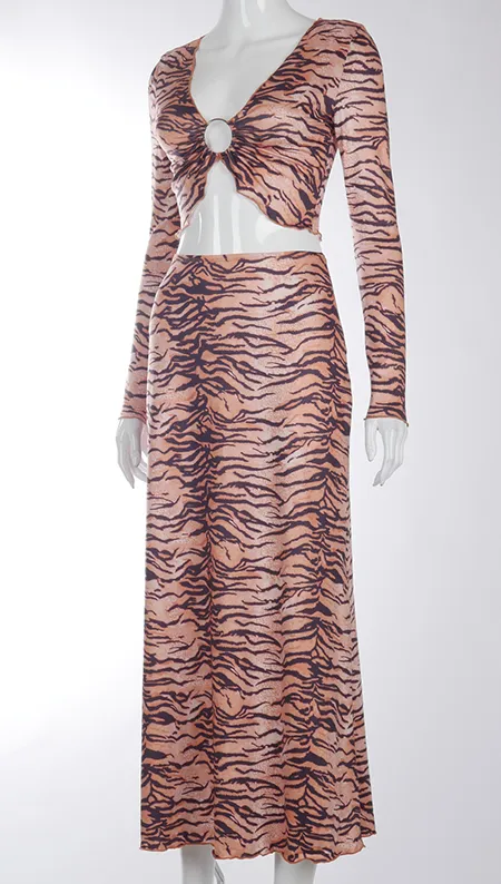 Animal Print Two Piece Set