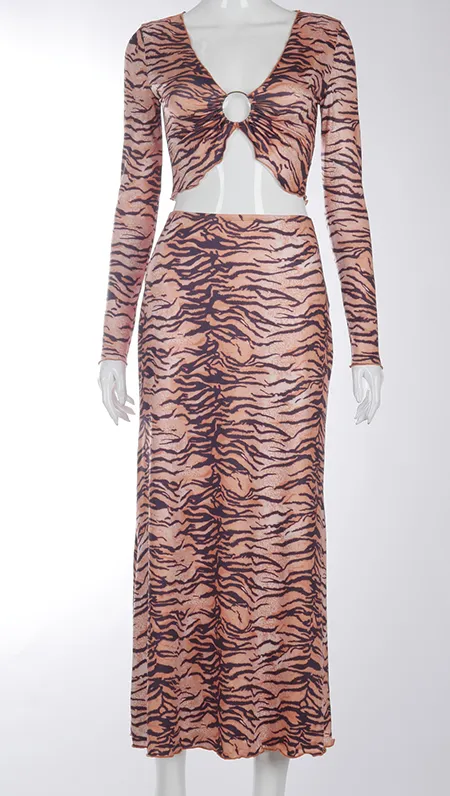 Animal Print Two Piece Set